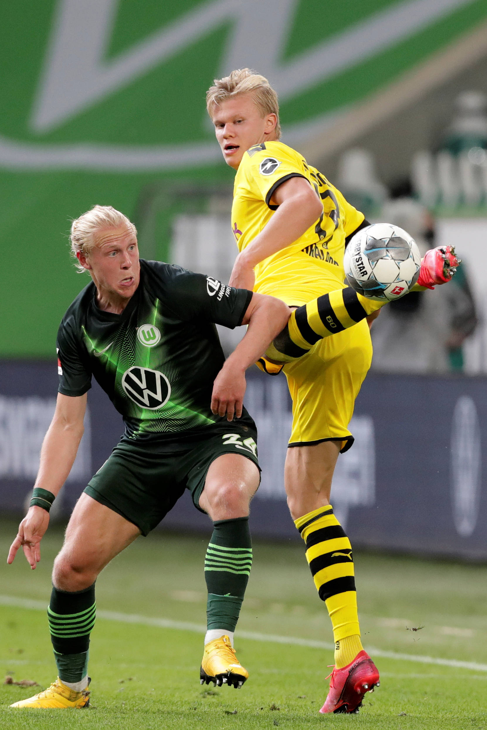 样性提供了 样性提供了