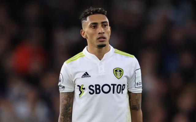 领略球员们 领略球员们